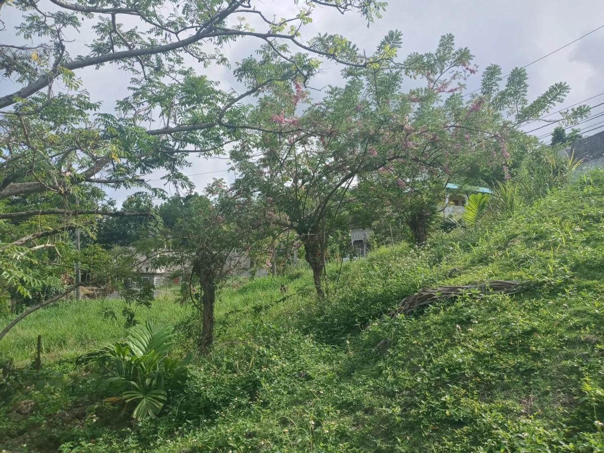 Royal Ridge Villa Port Antonio Esterno foto